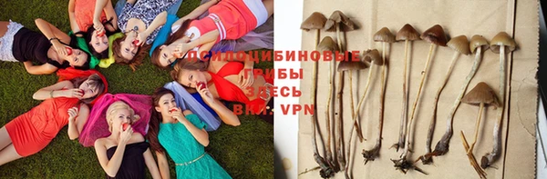 дживик Абдулино