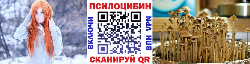 Псилоцибиновые грибы GOLDEN TEACHER Щёлкино